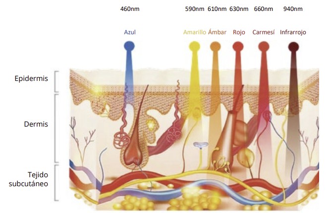 efecto de la luz sobre la piel