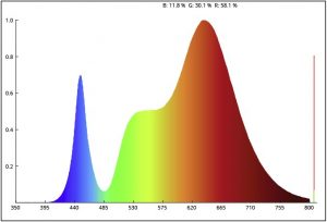 curva fotométrica crecimiento de semillas