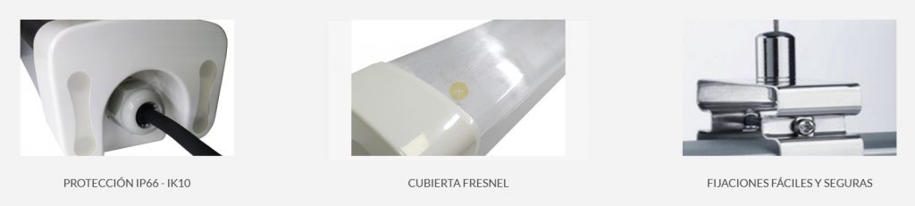 lineales para cultivo en interior