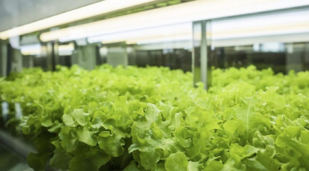 Luz para crecimiento vegetal